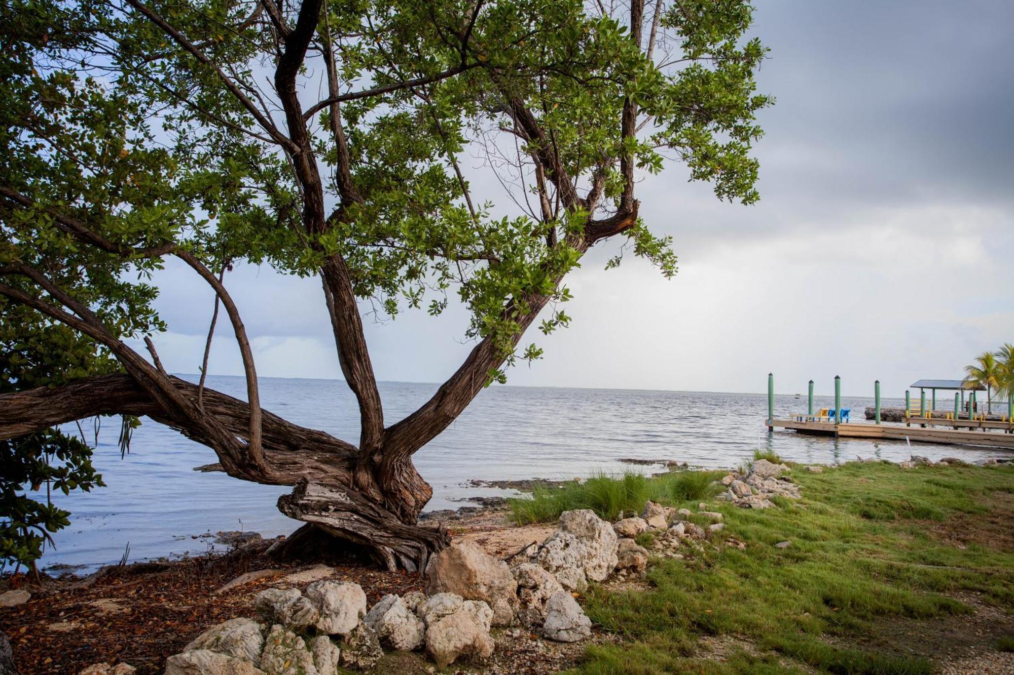 Kings Kamp Hotel Key Largo Exterior foto